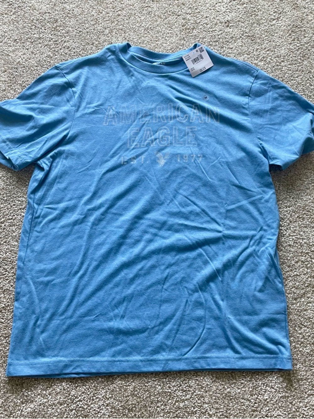 American Eagle Outfitters Sky Blue Short Sleeve Crew Tee